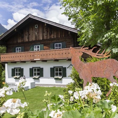 Forest Chalet, 15 Min To Salzburg Olt Town, And Most Beautiful Lakes, Secluded Location, 1,000 Sqm Garden, Mountainview, Panorama Sauna, Bath Whirlpool, Bbq&Bikes&Sunbeds For Free, Up To 10 P Golling an der Salzach Exterior foto