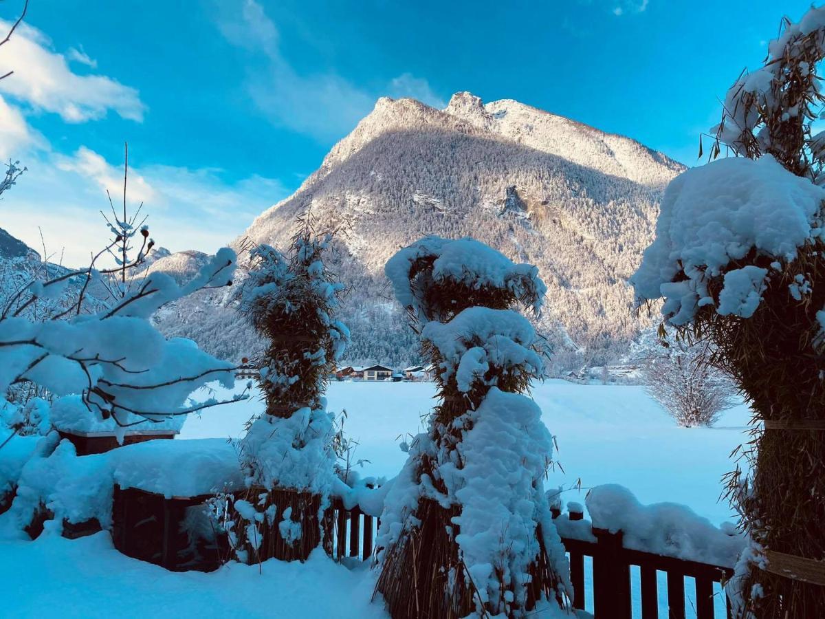 Forest Chalet, 15 Min To Salzburg Olt Town, And Most Beautiful Lakes, Secluded Location, 1,000 Sqm Garden, Mountainview, Panorama Sauna, Bath Whirlpool, Bbq&Bikes&Sunbeds For Free, Up To 10 P Golling an der Salzach Exterior foto