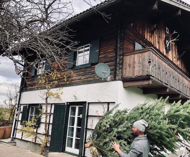 Forest Chalet, 15 Min To Salzburg Olt Town, And Most Beautiful Lakes, Secluded Location, 1,000 Sqm Garden, Mountainview, Panorama Sauna, Bath Whirlpool, Bbq&Bikes&Sunbeds For Free, Up To 10 P Golling an der Salzach Exterior foto