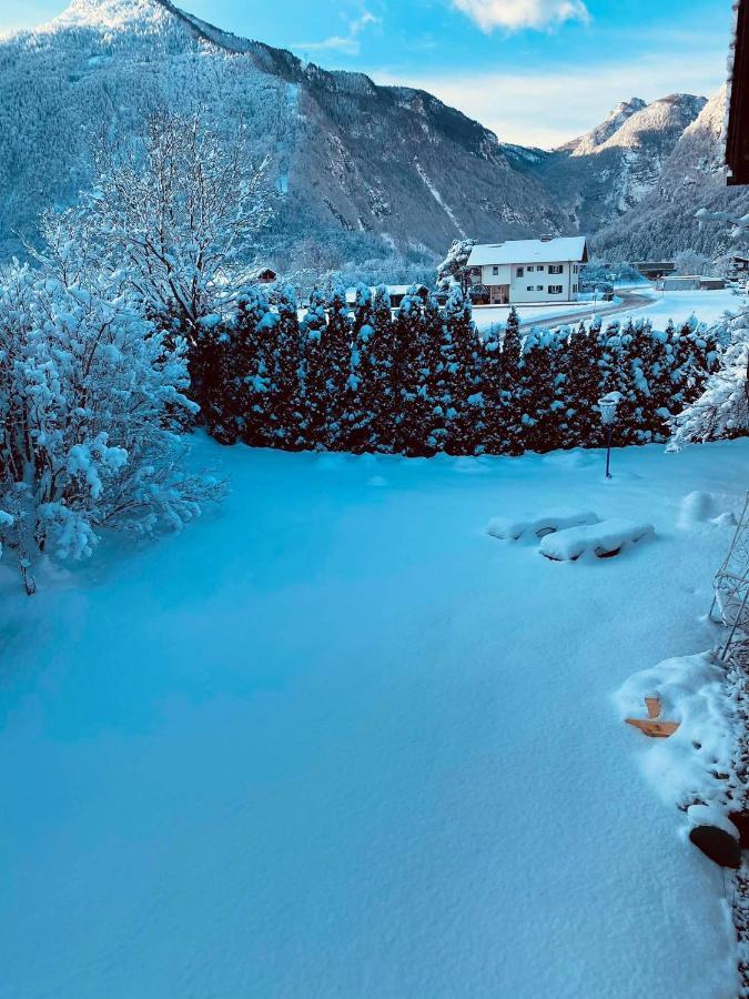 Forest Chalet, 15 Min To Salzburg Olt Town, And Most Beautiful Lakes, Secluded Location, 1,000 Sqm Garden, Mountainview, Panorama Sauna, Bath Whirlpool, Bbq&Bikes&Sunbeds For Free, Up To 10 P Golling an der Salzach Exterior foto