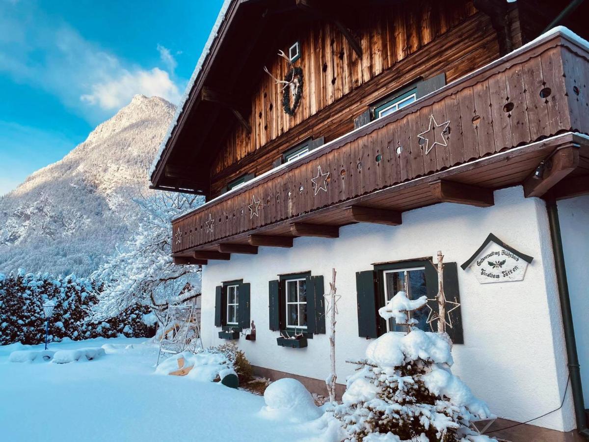 Forest Chalet, 15 Min To Salzburg Olt Town, And Most Beautiful Lakes, Secluded Location, 1,000 Sqm Garden, Mountainview, Panorama Sauna, Bath Whirlpool, Bbq&Bikes&Sunbeds For Free, Up To 10 P Golling an der Salzach Exterior foto