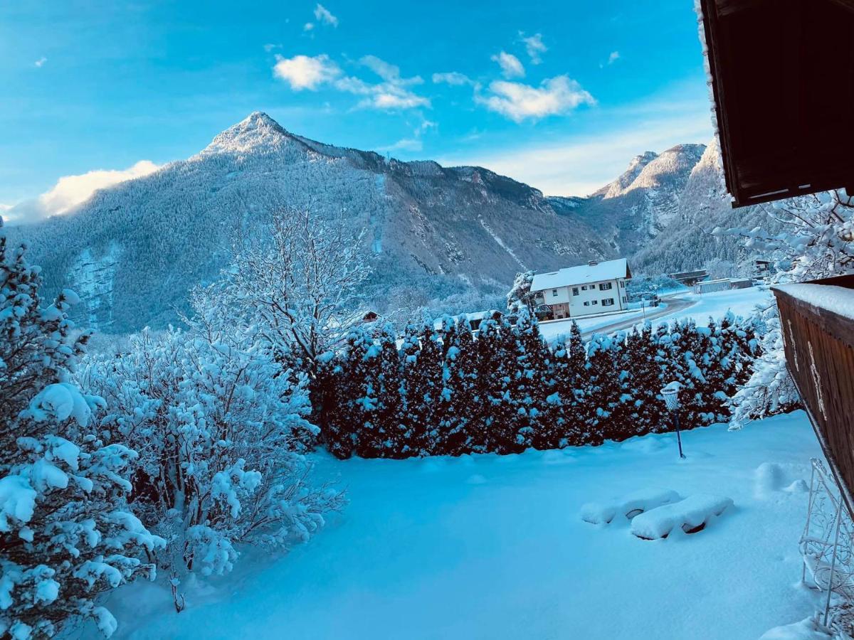 Forest Chalet, 15 Min To Salzburg Olt Town, And Most Beautiful Lakes, Secluded Location, 1,000 Sqm Garden, Mountainview, Panorama Sauna, Bath Whirlpool, Bbq&Bikes&Sunbeds For Free, Up To 10 P Golling an der Salzach Exterior foto