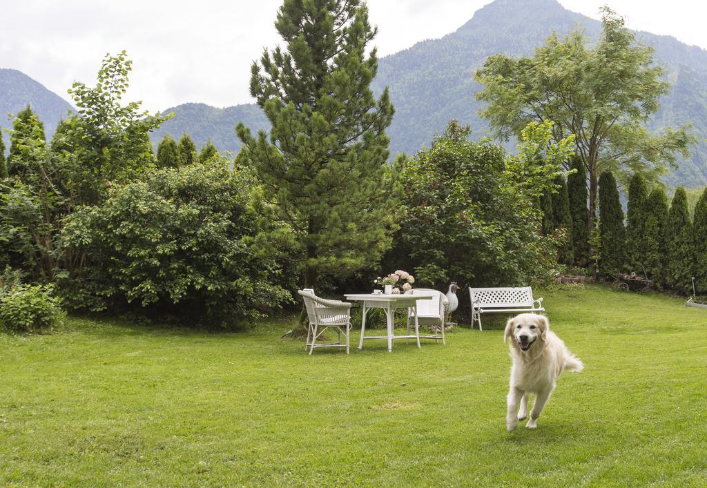 Forest Chalet, 15 Min To Salzburg Olt Town, And Most Beautiful Lakes, Secluded Location, 1,000 Sqm Garden, Mountainview, Panorama Sauna, Bath Whirlpool, Bbq&Bikes&Sunbeds For Free, Up To 10 P Golling an der Salzach Exterior foto