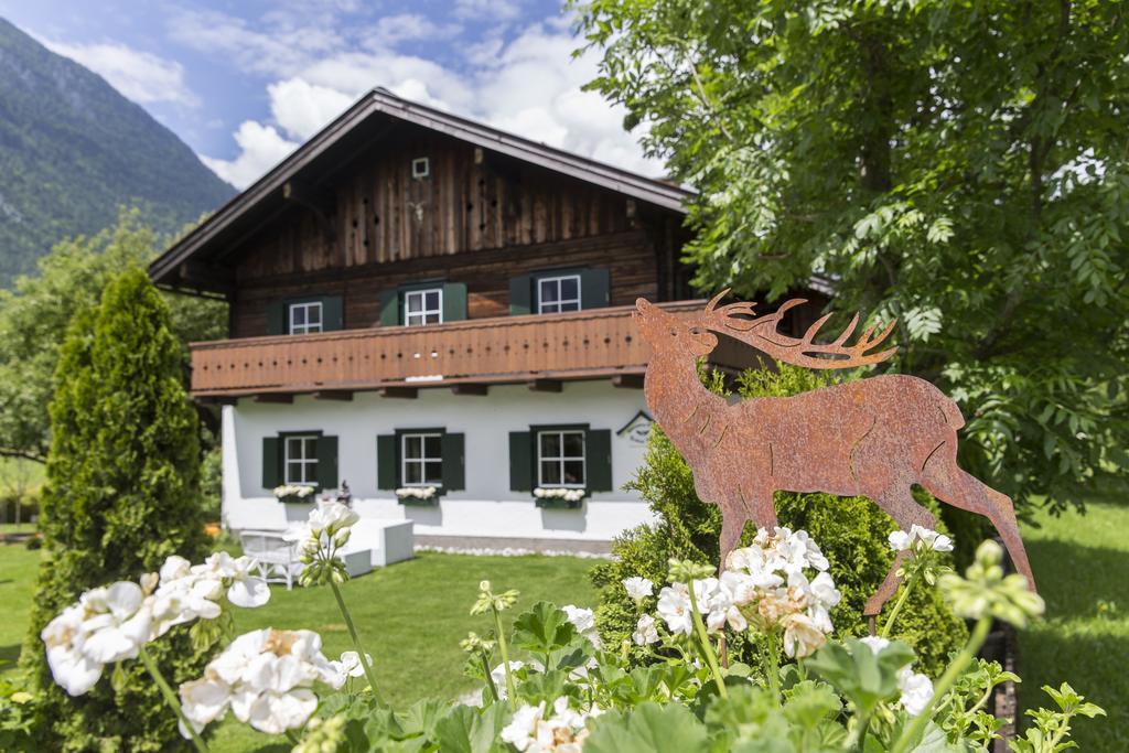 Forest Chalet, 15 Min To Salzburg Olt Town, And Most Beautiful Lakes, Secluded Location, 1,000 Sqm Garden, Mountainview, Panorama Sauna, Bath Whirlpool, Bbq&Bikes&Sunbeds For Free, Up To 10 P Golling an der Salzach Exterior foto