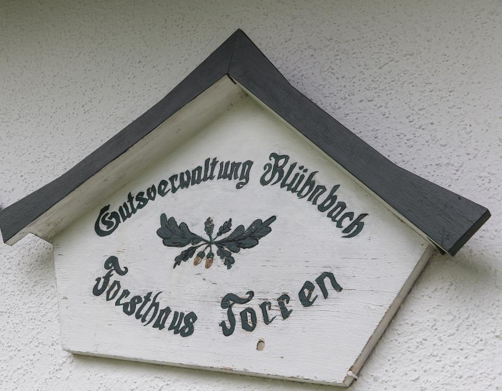 Forest Chalet, 15 Min To Salzburg Olt Town, And Most Beautiful Lakes, Secluded Location, 1,000 Sqm Garden, Mountainview, Panorama Sauna, Bath Whirlpool, Bbq&Bikes&Sunbeds For Free, Up To 10 P Golling an der Salzach Exterior foto
