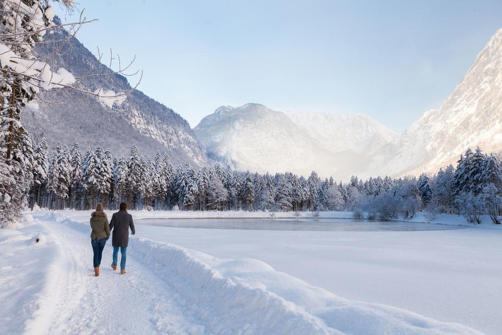Forest Chalet, 15 Min To Salzburg Olt Town, And Most Beautiful Lakes, Secluded Location, 1,000 Sqm Garden, Mountainview, Panorama Sauna, Bath Whirlpool, Bbq&Bikes&Sunbeds For Free, Up To 10 P Golling an der Salzach Exterior foto