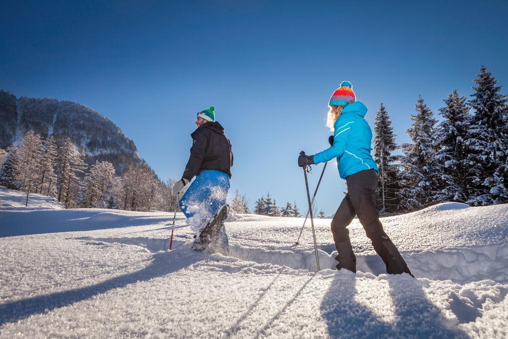 Forest Chalet, 15 Min To Salzburg Olt Town, And Most Beautiful Lakes, Secluded Location, 1,000 Sqm Garden, Mountainview, Panorama Sauna, Bath Whirlpool, Bbq&Bikes&Sunbeds For Free, Up To 10 P Golling an der Salzach Exterior foto