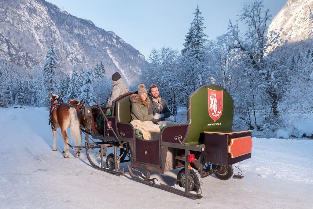 Forest Chalet, 15 Min To Salzburg Olt Town, And Most Beautiful Lakes, Secluded Location, 1,000 Sqm Garden, Mountainview, Panorama Sauna, Bath Whirlpool, Bbq&Bikes&Sunbeds For Free, Up To 10 P Golling an der Salzach Exterior foto