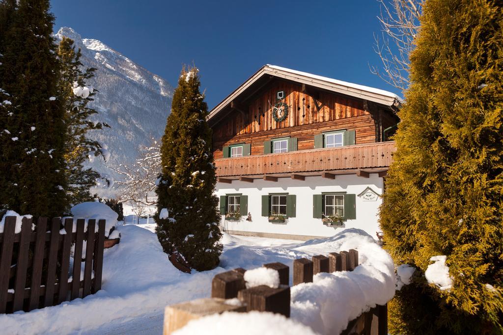 Forest Chalet, 15 Min To Salzburg Olt Town, And Most Beautiful Lakes, Secluded Location, 1,000 Sqm Garden, Mountainview, Panorama Sauna, Bath Whirlpool, Bbq&Bikes&Sunbeds For Free, Up To 10 P Golling an der Salzach Exterior foto
