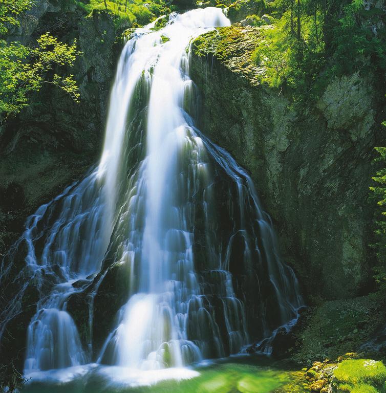 Forest Chalet, 15 Min To Salzburg Olt Town, And Most Beautiful Lakes, Secluded Location, 1,000 Sqm Garden, Mountainview, Panorama Sauna, Bath Whirlpool, Bbq&Bikes&Sunbeds For Free, Up To 10 P Golling an der Salzach Exterior foto