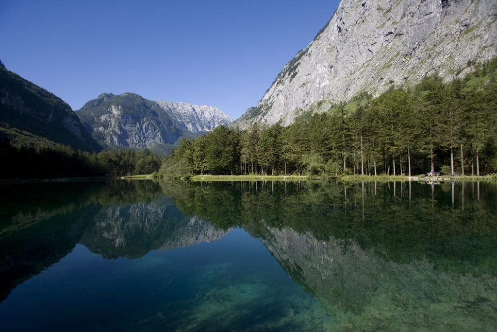 Forest Chalet, 15 Min To Salzburg Olt Town, And Most Beautiful Lakes, Secluded Location, 1,000 Sqm Garden, Mountainview, Panorama Sauna, Bath Whirlpool, Bbq&Bikes&Sunbeds For Free, Up To 10 P Golling an der Salzach Exterior foto